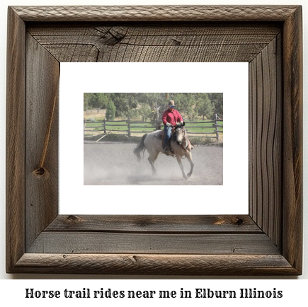 horse trail rides near me in Elburn, Illinois